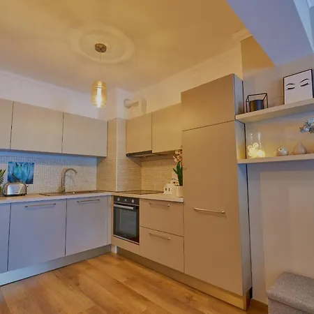 Velvet קלוז'-נאפוקה