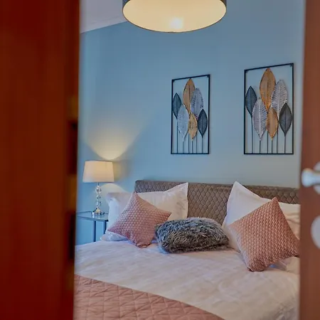 Velvet קלוז'-נאפוקה