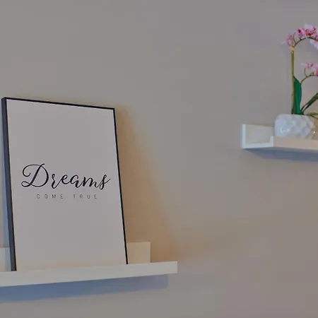 Velvet * Cluj-Napoca