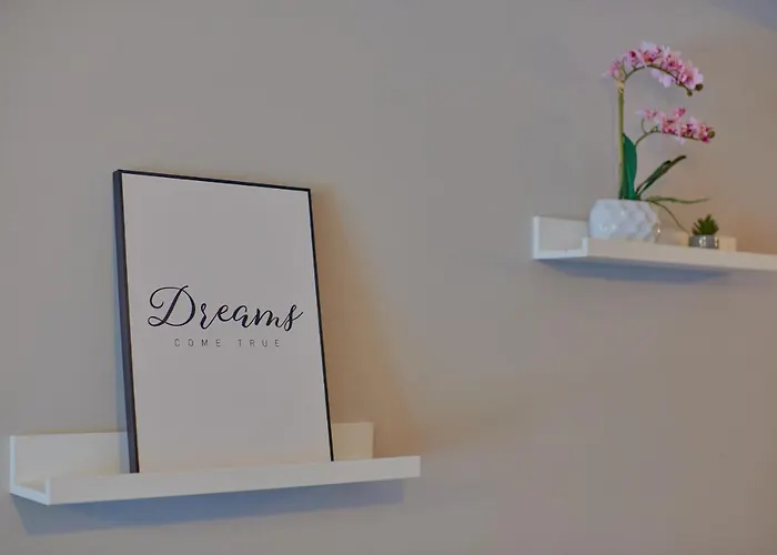 Velvet * Cluj-Napoca